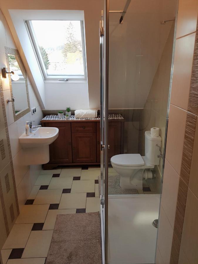 Апартаменти Apartament W Sercu Ustrzyk Устрики-Долішні Екстер'єр фото